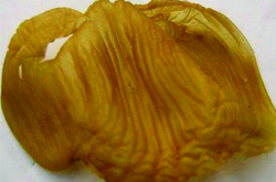 鸡内金的功效与作用及禁忌