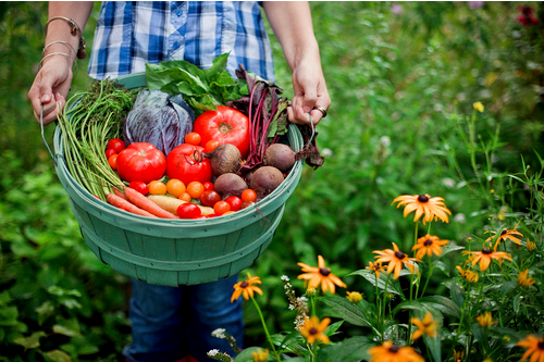 番茄红素作用    抗肿瘤辐射调节血脂
