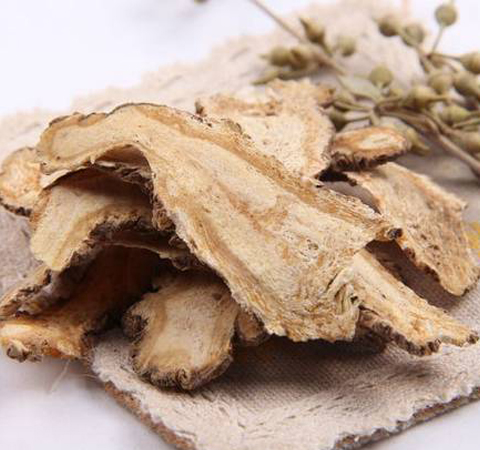 最适合女人保肾的10种食物