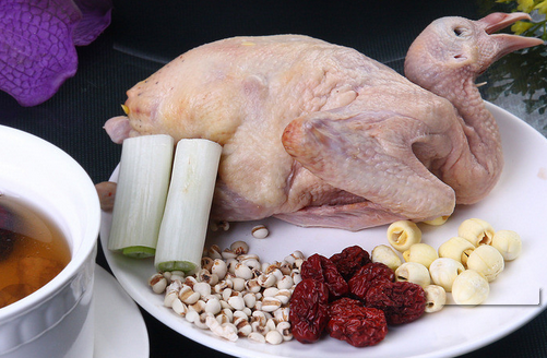 白鸽的功效      美容美颜强身健体