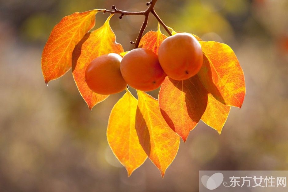 柿子的热量高吗 吃柿子的4大注意事项需警惕