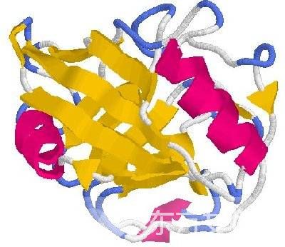 什么是营养不良性水肿？营养不良性水肿的饮食