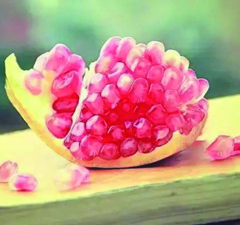 石榴皮的药用价值及药用附方