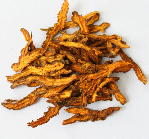 黄连的功效 黄连应当如何应用