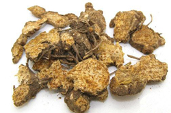 苍术的作用与功效及食用方法