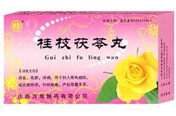 桂枝茯苓丸的功效与作用 桂枝茯苓丸的禁忌