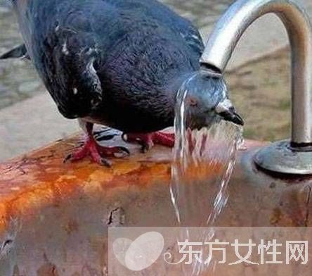 烫伤怎么处理 烫伤处理的几大方法