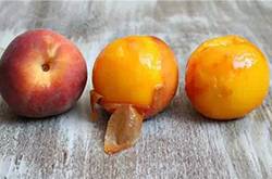 微波炉的用法有哪些 微波炉还能这么用