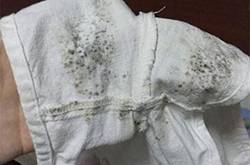衣服发霉该如何清洗 3种简便方法一招搞定