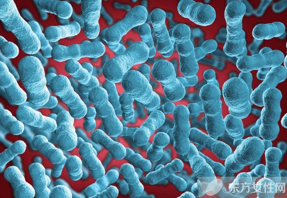 乙肝传播途径有哪些 几大传播途径要了解