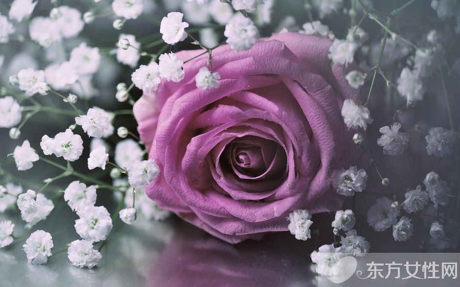 玫瑰花怎么保存时间长  玫瑰花的花语是什么