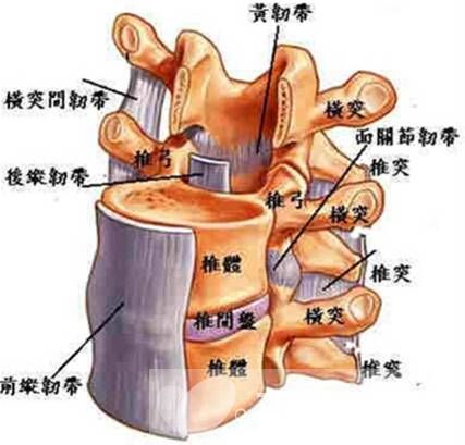 腰椎盘突出怎么锻炼 腰椎盘突出的4大病因