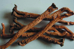 板蓝根颗粒的功效与作用及食用禁忌