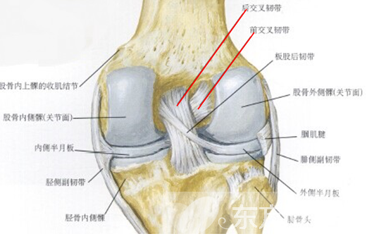 韧带损伤如何治疗 韧带损伤的症状
