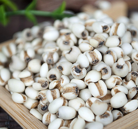 祛湿的最佳品薏米的副作用有哪些