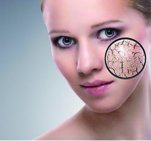 秋季皮肤干燥 多吃这几种食物