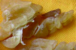 滋补养生 林蛙油的功效与作用