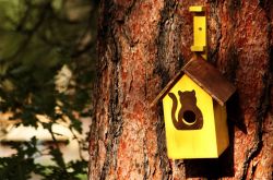 家有妙招大全集 荐日常生活中的12个小窍门