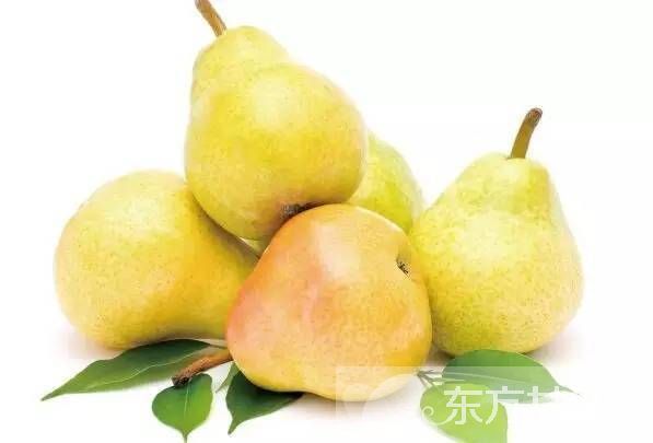 快速醒酒的方法有哪些 20个小妙招让你不再愁