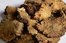 川芎的功效 川芎的药用配方有哪些