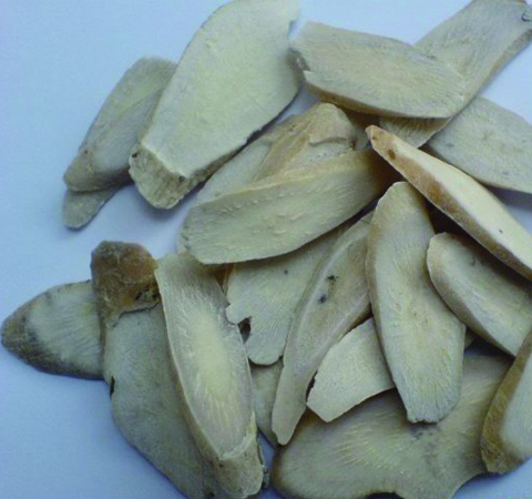 中药赤芍药的功效和作用及炮制方法