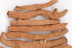 丹参的功效与作用及食用方法