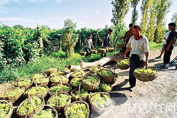 葡萄干热量高吗 细数葡萄干的营养价值