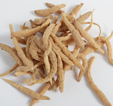 揭太子参的功效与作用 太子参的用药禁忌有哪些