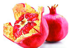 石榴皮的药用价值及药用附方