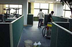 如何消灭跳蚤 消灭跳蚤的最佳办法