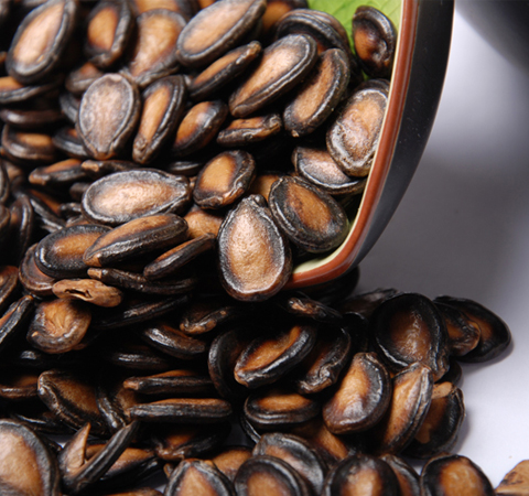 利肺润肠 简说西瓜子的功效与作用