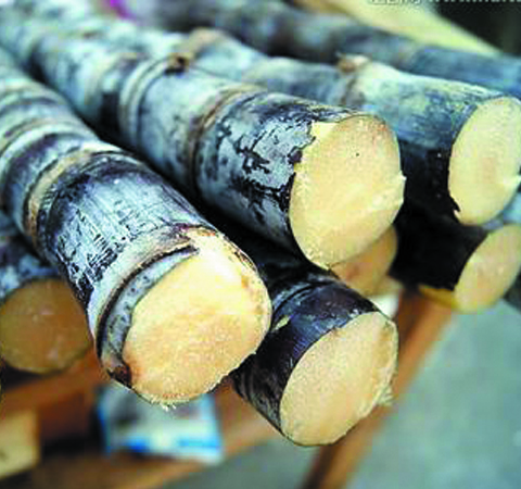 甘蔗上火吗 带你了解甘蔗的营养价值