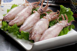 揭密鱿鱼的营养价值以及保健功效