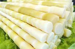 冬笋和春笋的区别 几招教你如何分辨