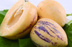 人参果的功效与作用及食用禁忌