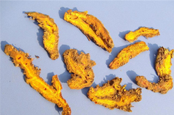 黄连的功效 黄连应当如何应用