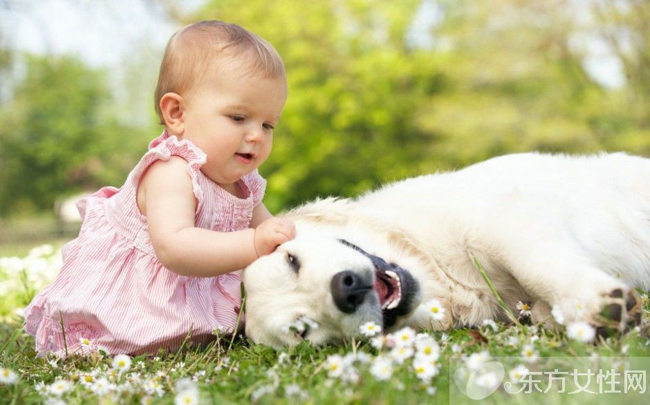 氨基酸的作用与功效 氨基酸的副作用有哪些