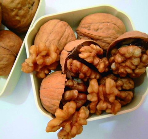 核桃的药用价值及选购储存方法