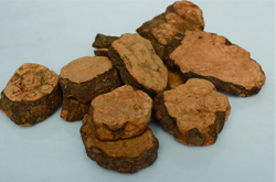 中医教你怎么吃 何首乌的吃法介绍