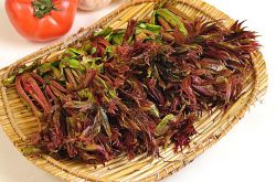 香椿的营养价值及做法大全 孕妇能吃香椿吗