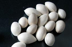 白果的营养价值丰富有哪些 有什么注意事项