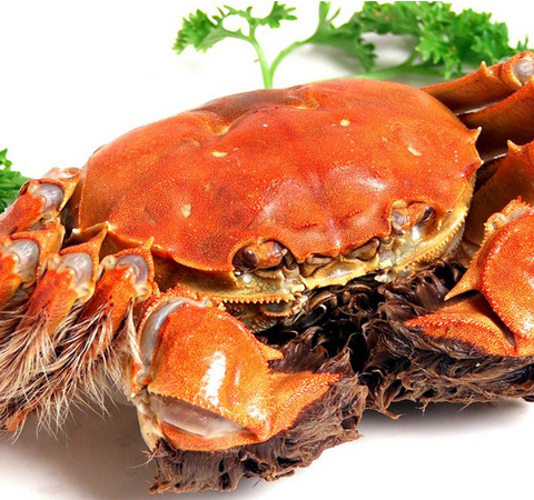 柿饼的营养价值 丰富维生素都在它这里