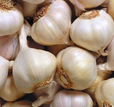 大蒜的营养价值 教你如何吃大蒜消毒杀菌