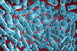 乙肝传播途径有哪些 几大传播途径要了解