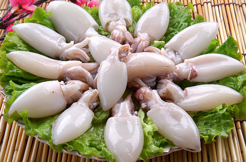 墨鱼的营养价值      富含钙磷铁蛋白质