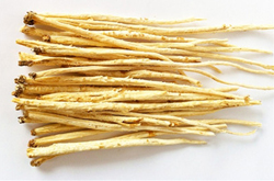 揭沙参的功效与作用 沙参怎么选购