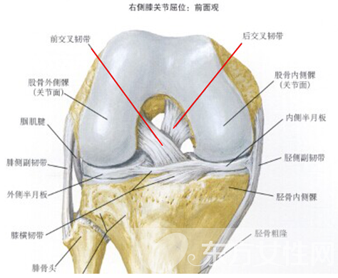 韧带损伤如何治疗 韧带损伤的症状