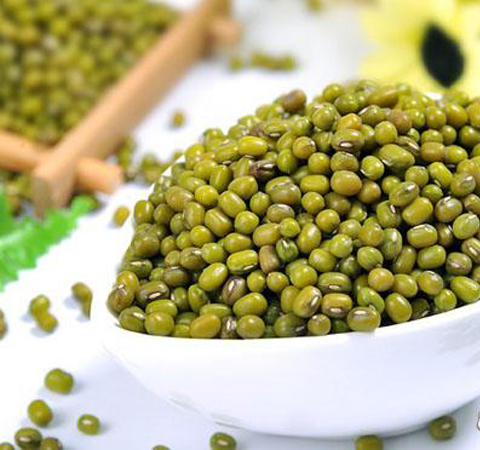 揭绿豆的营养价值 绿豆该如何选购