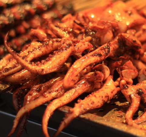 揭密鱿鱼的营养价值以及保健功效