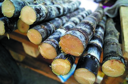 甘蔗上火吗 带你了解甘蔗的营养价值